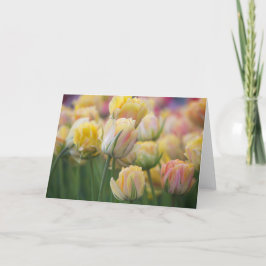 Cartão Pink and Yellow Tulips