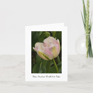 Cartão Pink 'Angelique' Tulip Greeting Thank You Note