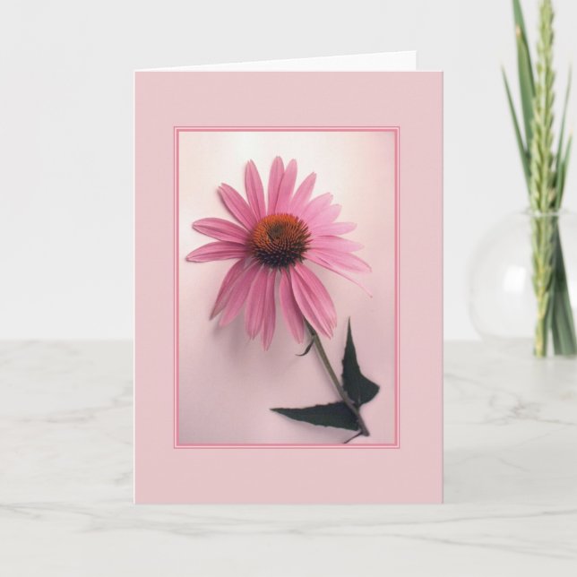 Cartão Pink Coneflower Greeting Card (Frente)