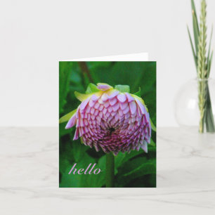 CARTÃO PINK DAHLIA