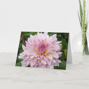 Cartão Pink Dahlia