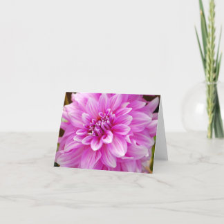 Cartão Pink Dahlia
