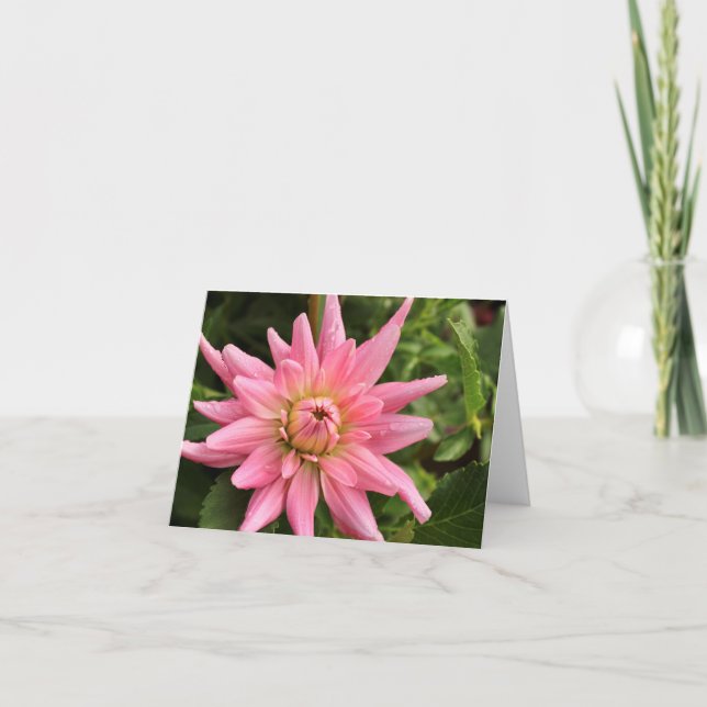 Cartão Pink Dahlia 4x6 Note Card (Frente)