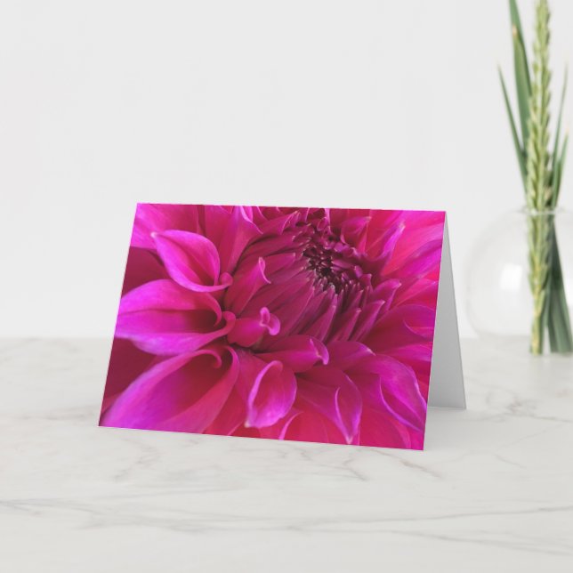 Cartão Pink Dahlia Greeting Card (Frente)