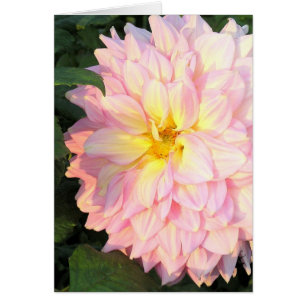 CARTÃO PINK DAHLIA PALE COM TOQUE DE AMARELO (FOTOGRAFIA)