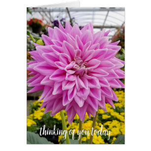Cartão pink dahlia pensando em você