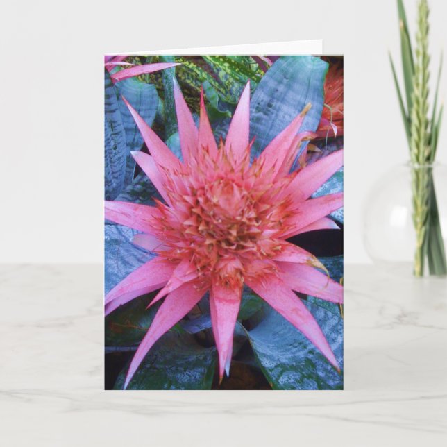 Cartão Pink Exotic Blossom Plant Greeting Card (Frente)