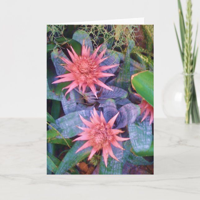 Cartão Pink Exotic Blossoms Plant Greeting Card (Frente)