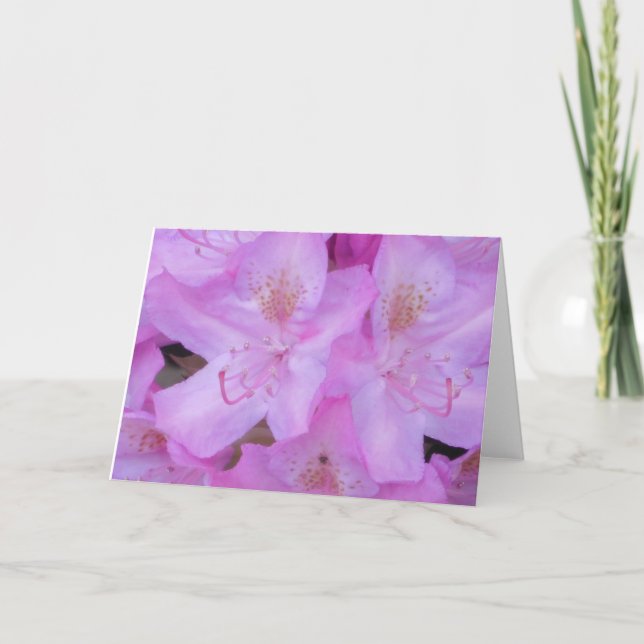 Cartão Pink Floral Any Occasion Greeting Cards (Frente)
