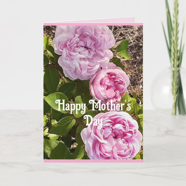 Cartão Pink Flowers Floral Rose Roses Mothers Day Card (Frente)