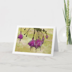 CARTÃO PINK FUCHSIA AGAINST LIGHT GREEN BACKGROUND