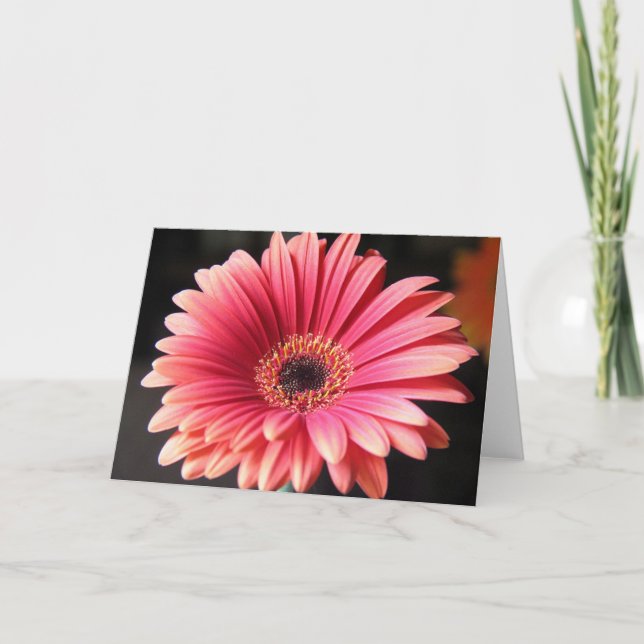 Cartão Pink Gerber (Frente)