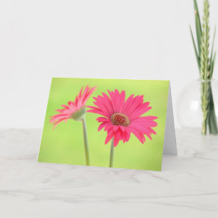 Cartão Pink Gerber Daisies on Green Greeting Card