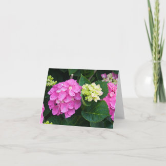 Cartão Pink Hydrangea Notecards
