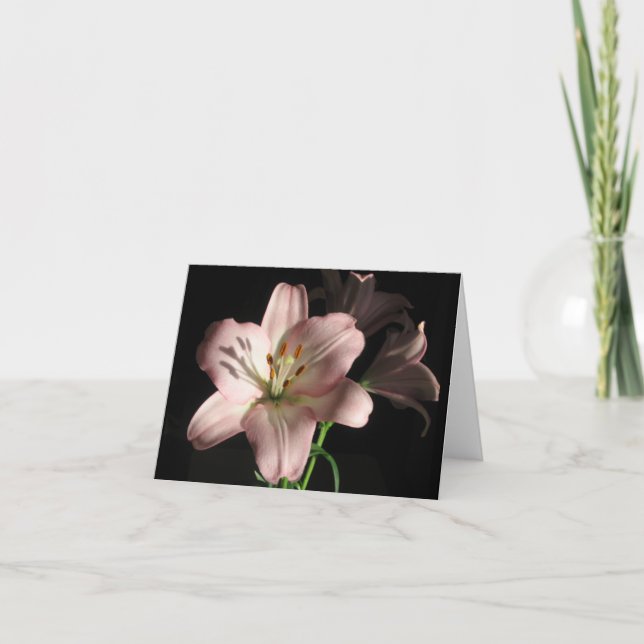 Cartão Pink Lily Note Card (Frente)