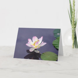 Cartão Pink Lotus with Dragon Fly