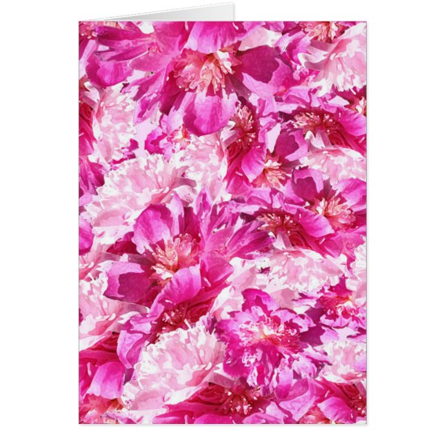 Cartão Pink & Magenta Peony Floral Pattern Blank (Frente)
