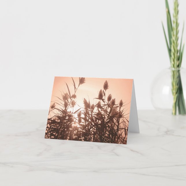 Cartão Pink Nature notecard (Frente)
