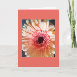 Cartão Pink Peach Daisy Flower Blank inside Note Card