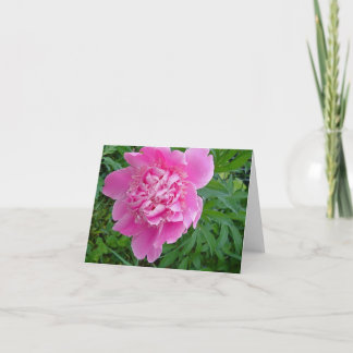 Cartão pink peonie floral notecard collection