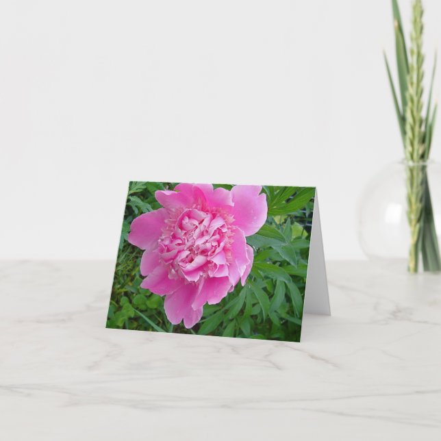 Cartão pink peonie floral notecard collection (Frente)