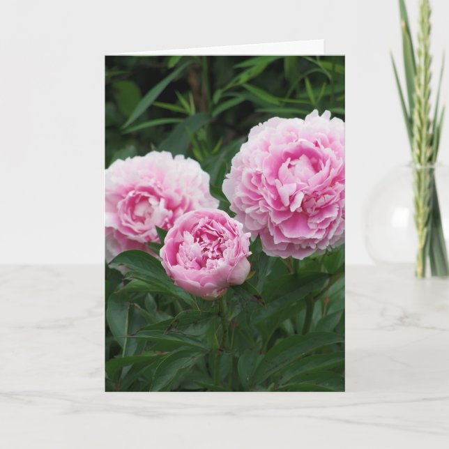 Cartão Pink Peonies, Birthday (Frente)