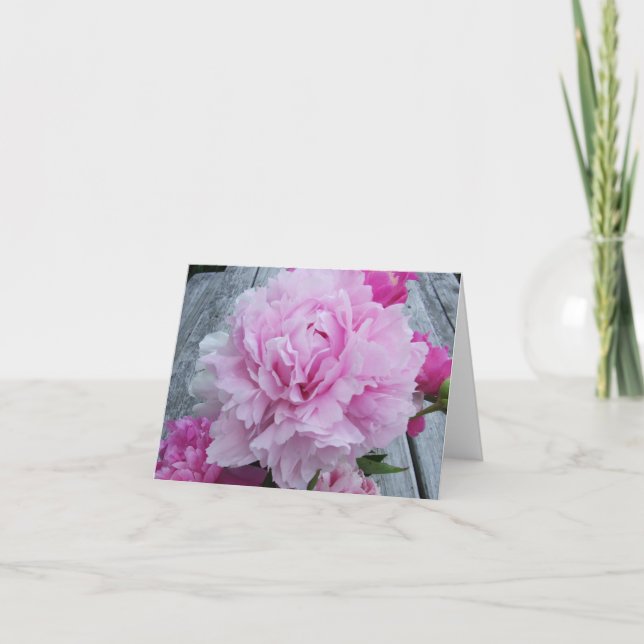 Cartão Pink Peonies / Peony Notecard (Frente)
