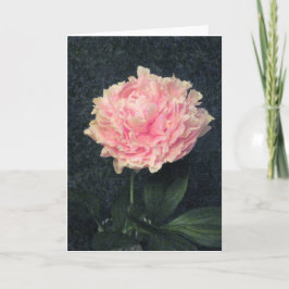 Cartão Pink Peony