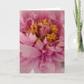 Cartão Pink Peony Flower Blank Greeting Card