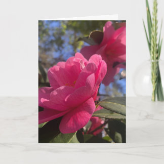 Cartão Pink Petals 1 - Folded Greeting Card