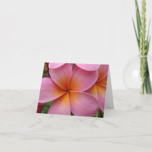 Cartão Pink Plumeria Notecard