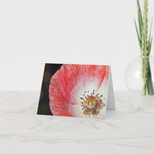Cartão Pink Poppy Birthday