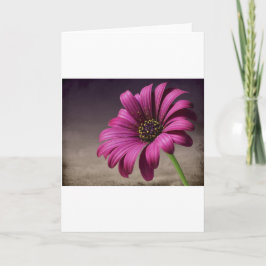 Cartão Pink Purple Vines Flowers Blossoms Love Peace Art