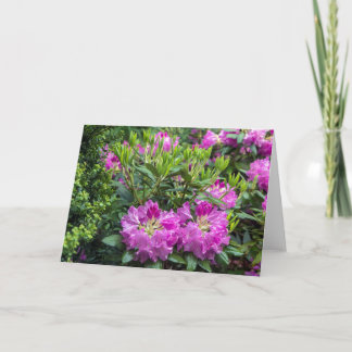 Cartão Pink Rhododendron Blank Note Card