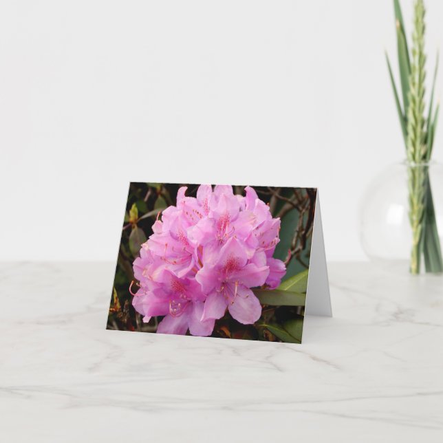 Cartão Pink Rhododendron note card (Frente)