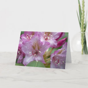 Cartão Pink Rhody Card