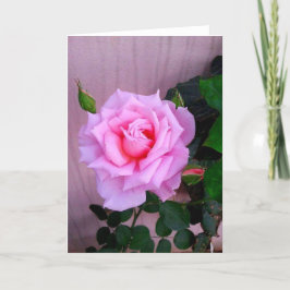 Cartão Pink Rose