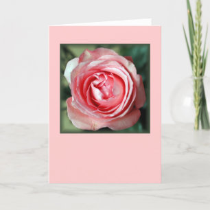 Cartão "Pink Rose" (Blank)