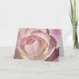 Cartão Pink Rose Blank Greeting Card