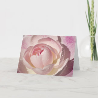 Cartão Pink Rose Blank Greeting Card