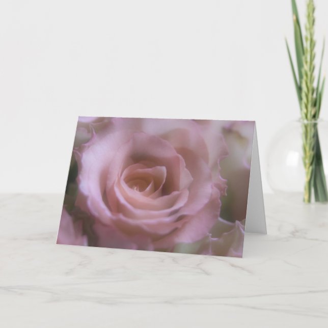 Cartão Pink Rose - Greeting Card (Frente)