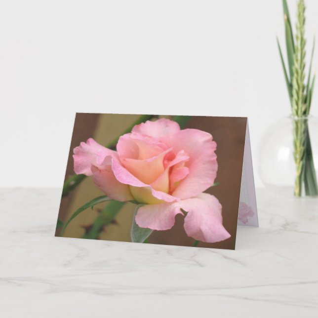 Cartão Pink Rose Greeting Card (Frente)