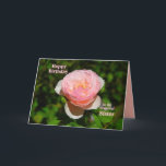 Cartão Pink Rose Happy Birthday to Sister<br><div class="desc">The text of the card, which you can change and personalize. "A sister is like a rose ~ Beautiful, but watch out for the thorns! Just kidding about the thorns! Much love on your birthday!" Here is the template version of this card with slightly smaller font size on the inside...</div>