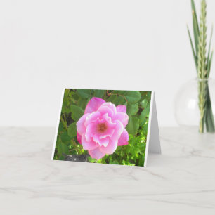 Cartão Pink Rose Notecard