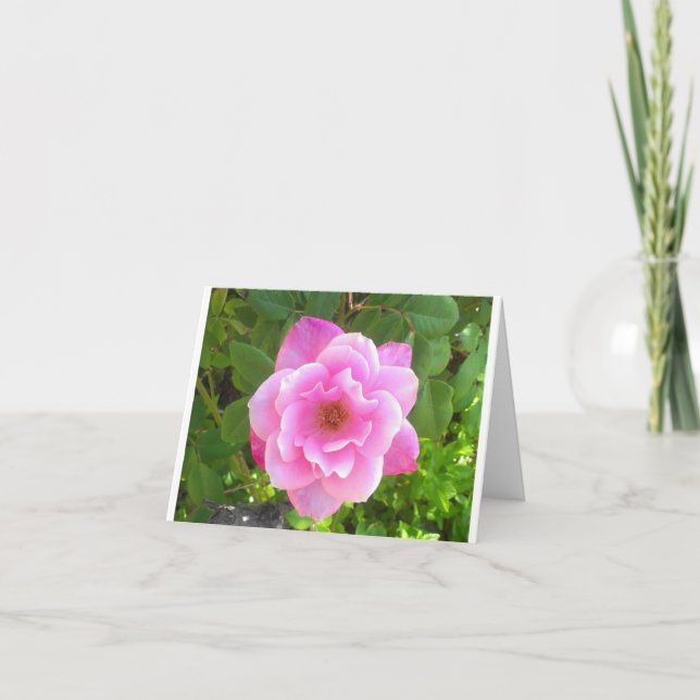 Cartão Pink Rose Notecard (Frente)