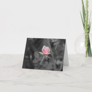 Cartão Pink Rose NoteCard (blank inside)