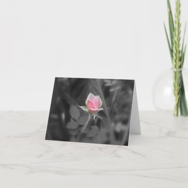 Cartão Pink Rose NoteCard (blank inside) (Frente)
