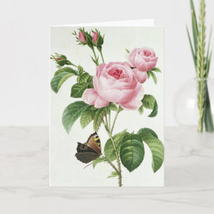 Cartão Pink Rose Pierre-Joseph Redoute Greeting Card