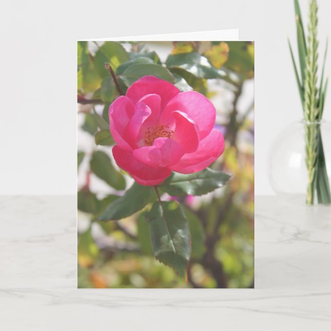 Cartão Pink Rose - Special Friendship (Frente)