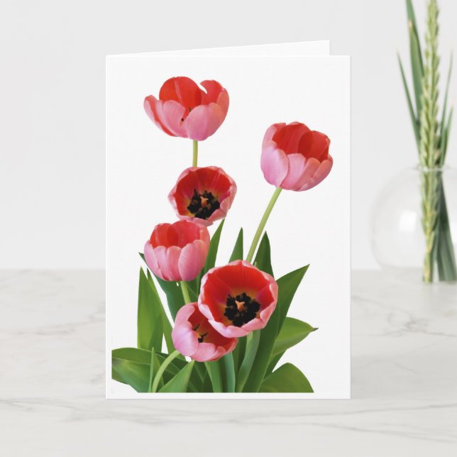Cartão Pink Spring Tulip Bouquet Photograph (Frente)
